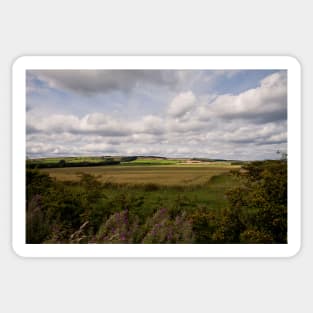 The rolling hills of Northumberland Sticker